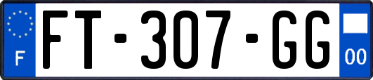 FT-307-GG