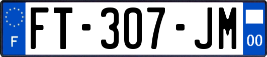 FT-307-JM