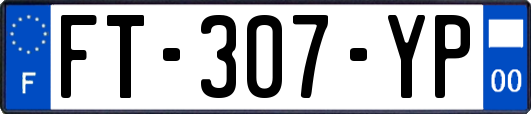 FT-307-YP