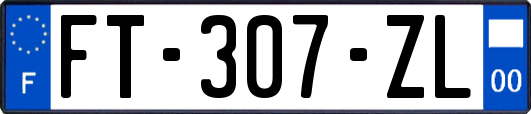 FT-307-ZL