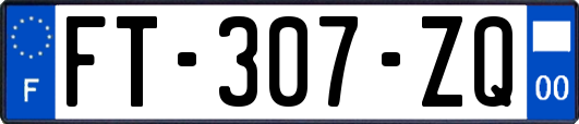 FT-307-ZQ