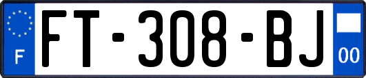 FT-308-BJ