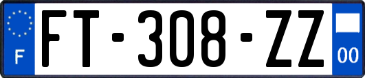 FT-308-ZZ