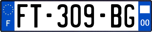 FT-309-BG