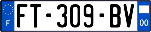 FT-309-BV