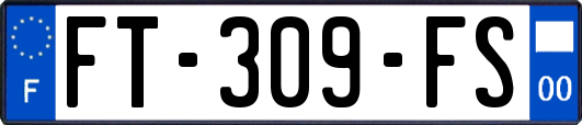 FT-309-FS