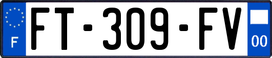 FT-309-FV