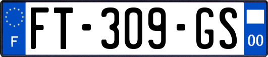 FT-309-GS
