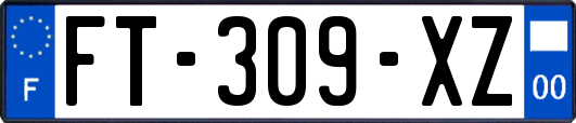 FT-309-XZ