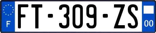 FT-309-ZS