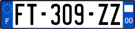 FT-309-ZZ