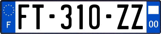 FT-310-ZZ