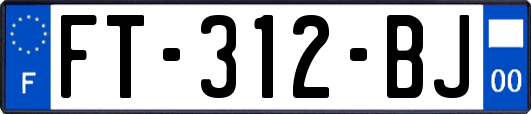 FT-312-BJ