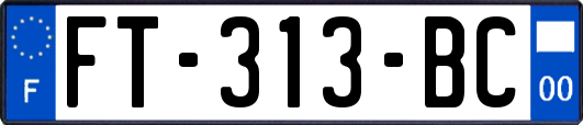 FT-313-BC