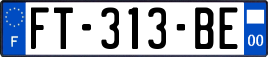 FT-313-BE