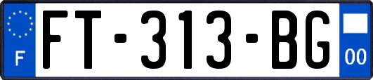 FT-313-BG