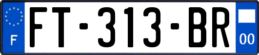 FT-313-BR