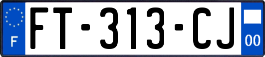 FT-313-CJ