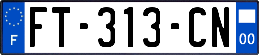 FT-313-CN