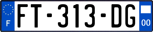 FT-313-DG