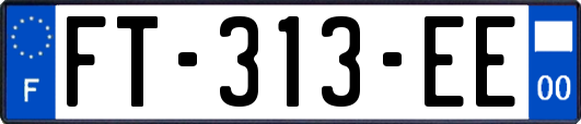FT-313-EE