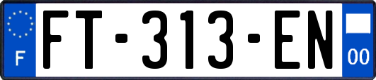 FT-313-EN