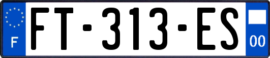 FT-313-ES