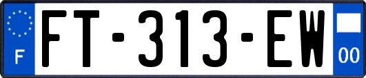 FT-313-EW