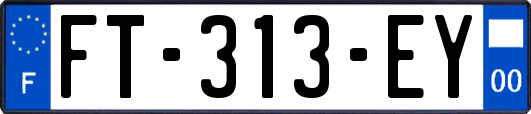 FT-313-EY
