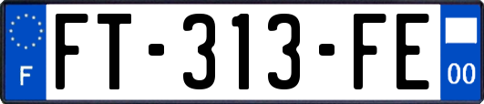 FT-313-FE