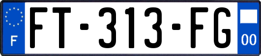 FT-313-FG