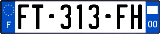 FT-313-FH