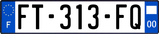 FT-313-FQ
