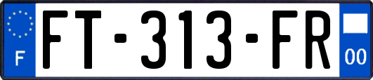 FT-313-FR