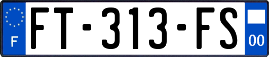 FT-313-FS