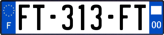 FT-313-FT