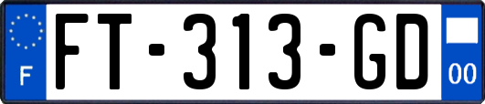 FT-313-GD