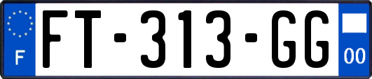FT-313-GG
