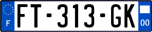 FT-313-GK