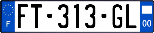 FT-313-GL