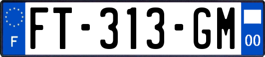 FT-313-GM