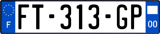 FT-313-GP