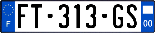 FT-313-GS