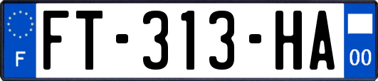 FT-313-HA