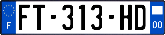 FT-313-HD