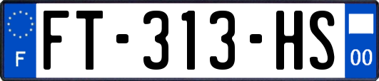 FT-313-HS