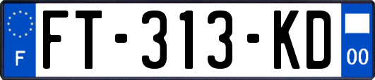 FT-313-KD