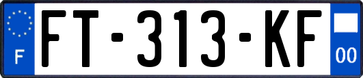 FT-313-KF