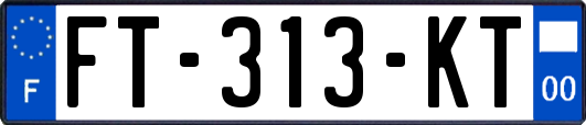 FT-313-KT