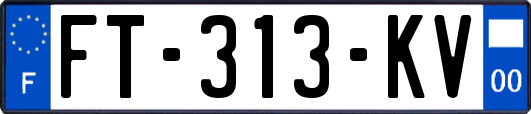 FT-313-KV